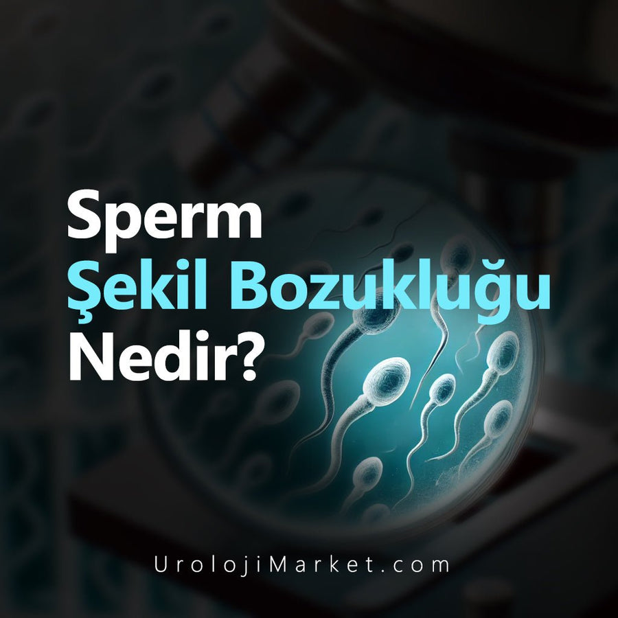 Sperm Şekil Bozukluğu Nedir? Teşhisi ve Çözüm Yolları - Üroloji Market